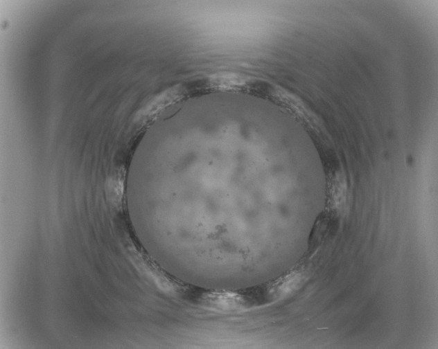 X0000085270427200703161434