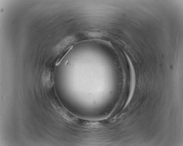 X0000085270428200703161434