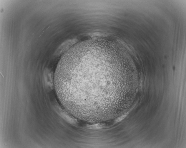 X0000085270430200703161434