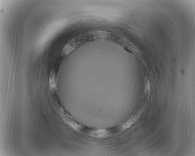 X0000085270431200703161434