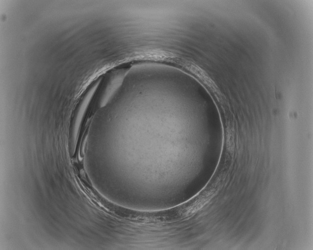 X0000085270434200703161434