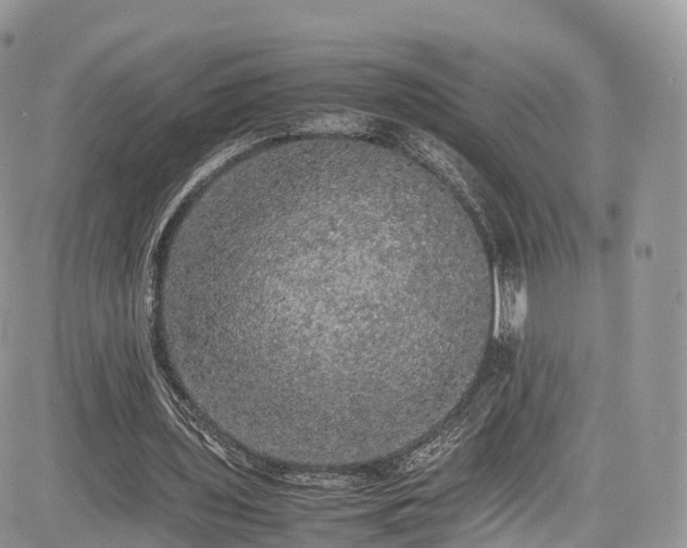 X0000085270435200703161434