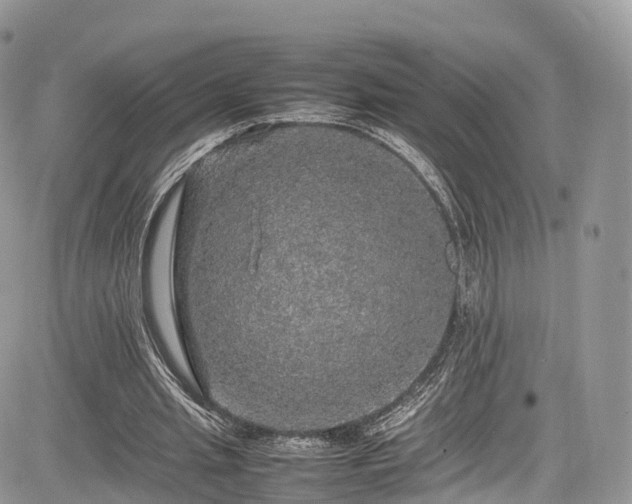 X0000085270437200703161434