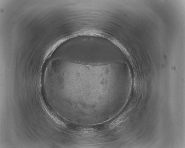 X0000085270438200703161434