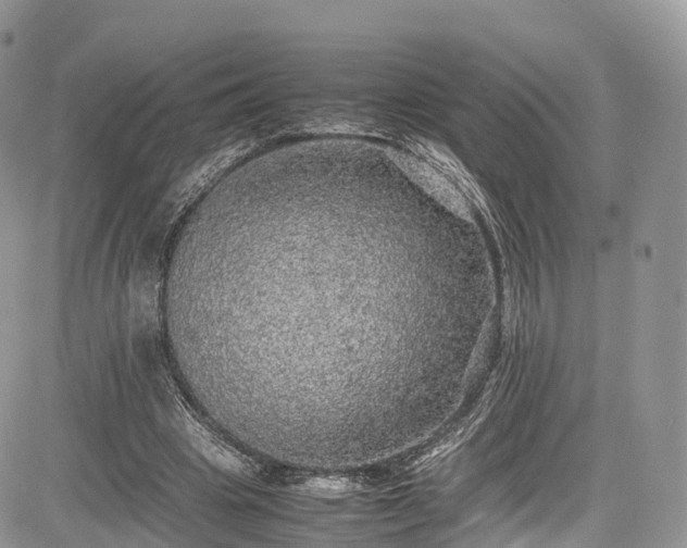 X0000085270441200703161434