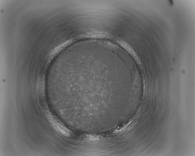 X0000085270442200703161434