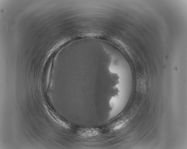 X0000085270443200703161434