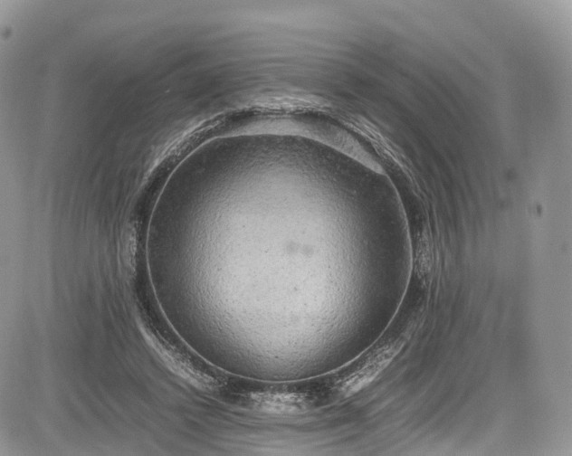 X0000085270448200703161434