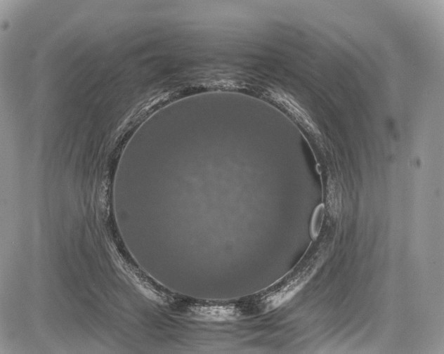 X0000085270449200703161434