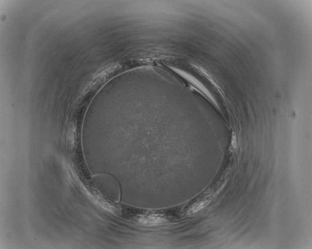 X0000085270451200703161434