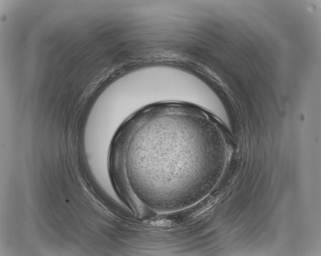 X0000085270452200703161434