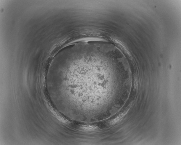 X0000085270453200703161434