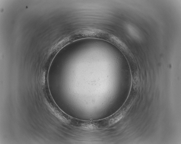 X0000085270454200703161434