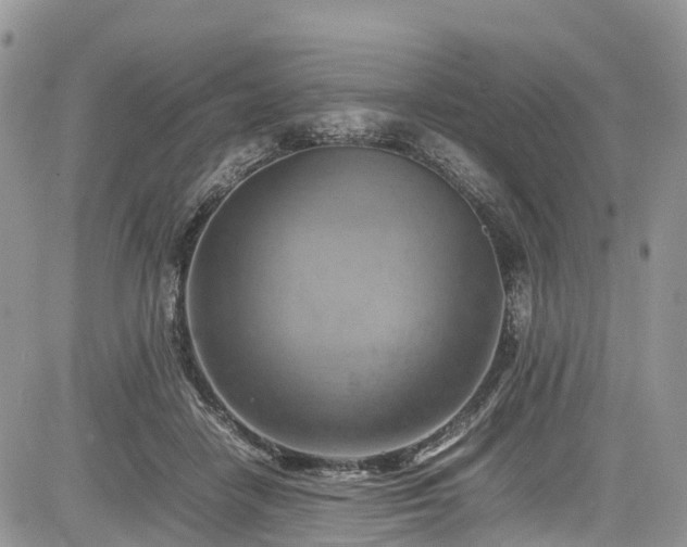 X0000085270458200703161434