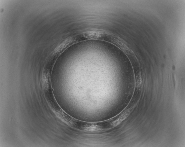 X0000085270460200703161434