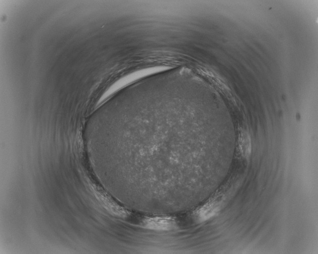 X0000085270461200703161434