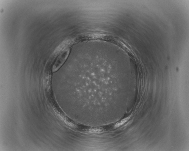 X0000085270462200703161434