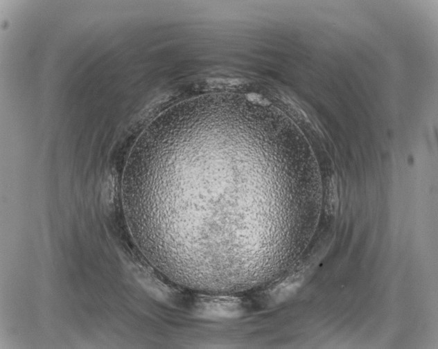 X0000085270463200703161434