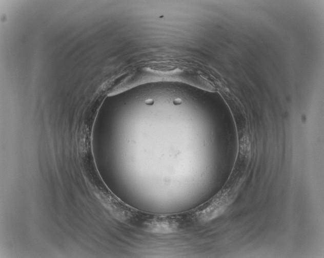 X0000085270464200703161434