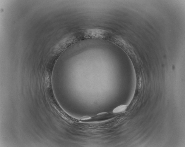 X0000085270465200703161434