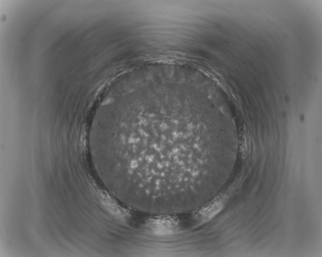 X0000085270466200703161434