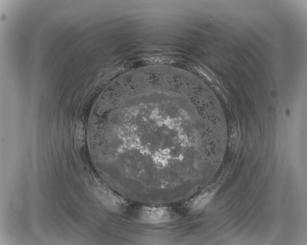 X0000085270469200703161434