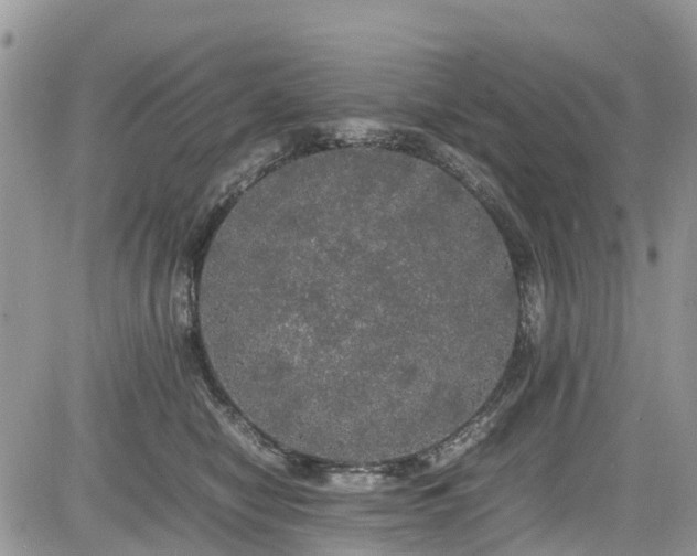 X0000085270470200703161434