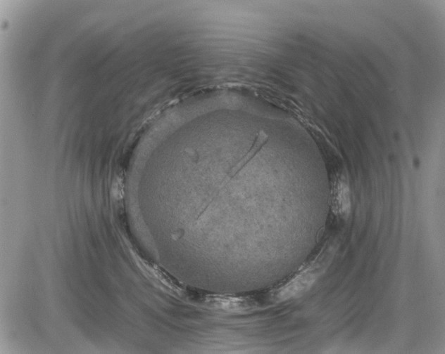 X0000085270472200703161434