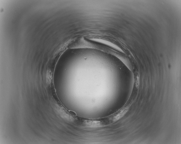 X0000085270476200703161434