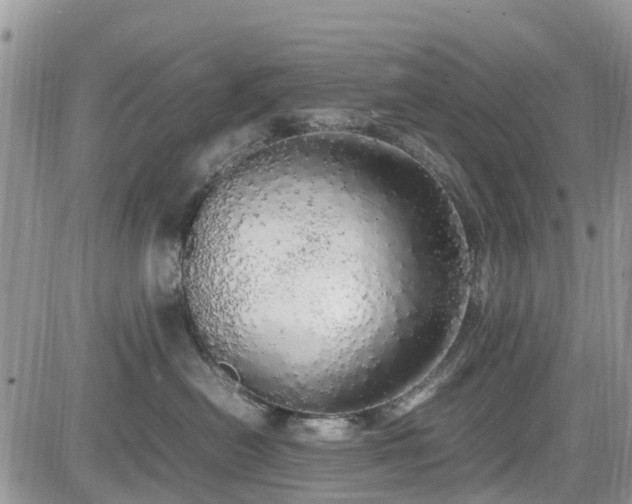 X0000085270478200703161434