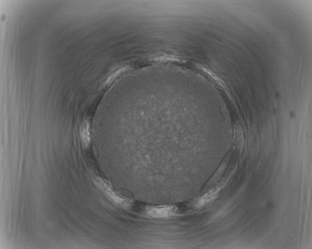 X0000085270479200703161434