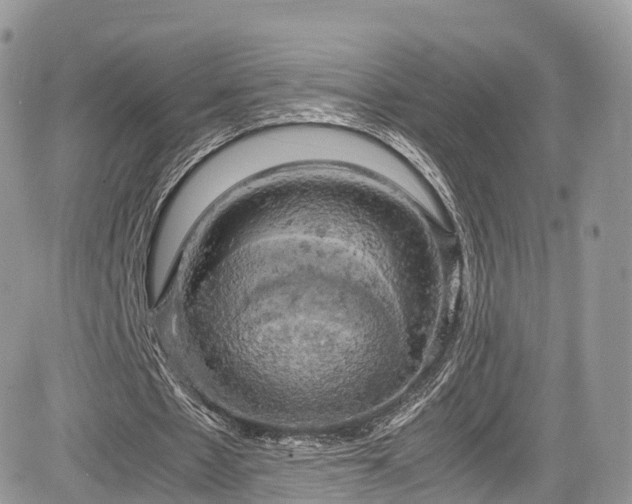 X0000085270481200703161433