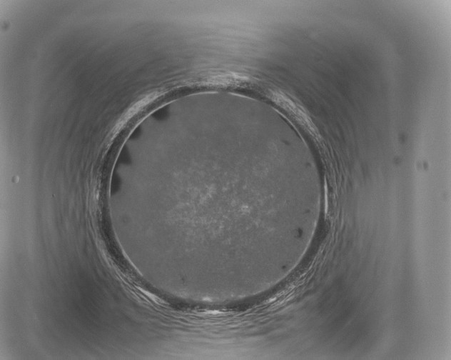 X0000085270483200703161433