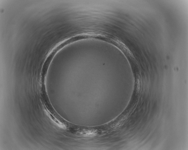 X0000085270484200703161433