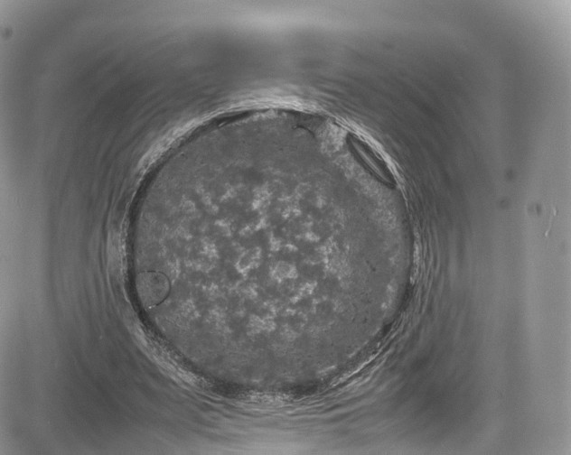 X0000085270487200703161433