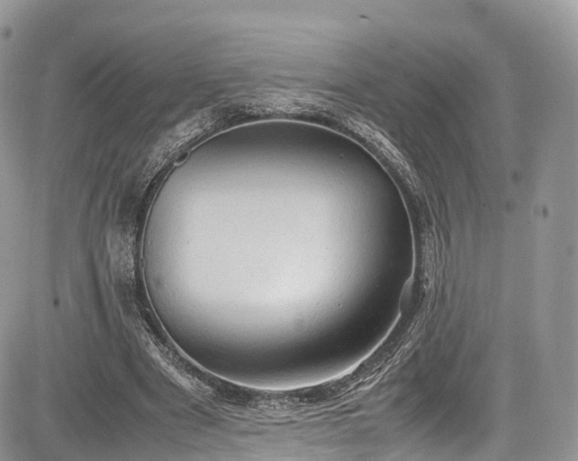 X0000085270489200703161433