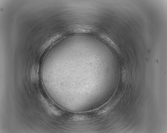 X0000085270490200703161433