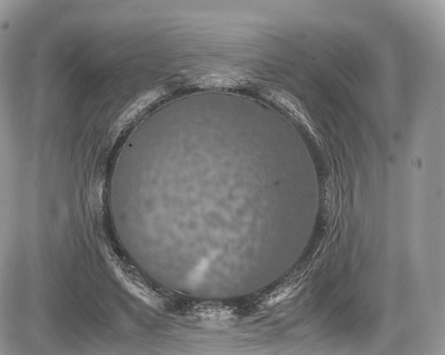 X0000085270491200703161433