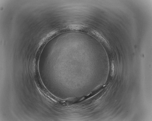 X0000085270492200703161433