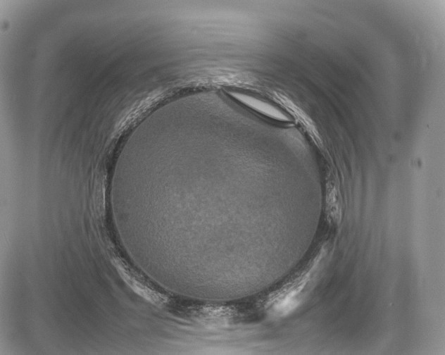 X0000085270493200703161433