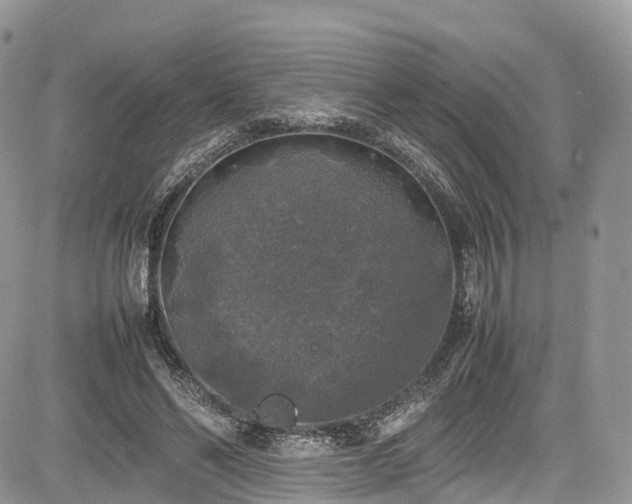 X0000085270494200703161433