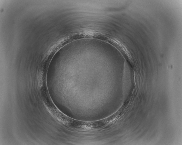 X0000085270496200703161433