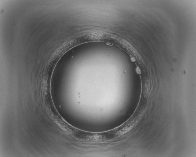 X0000085270497200703161433