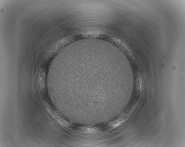 X0000085270498200703161433