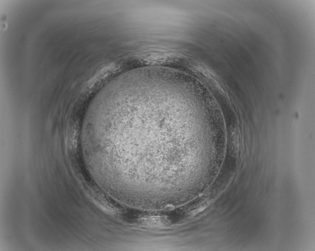 X0000085270499200703161433