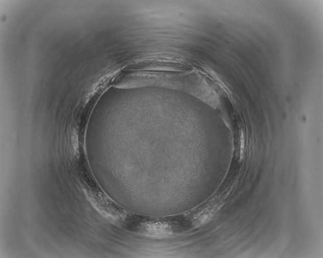 X0000085270500200703161433