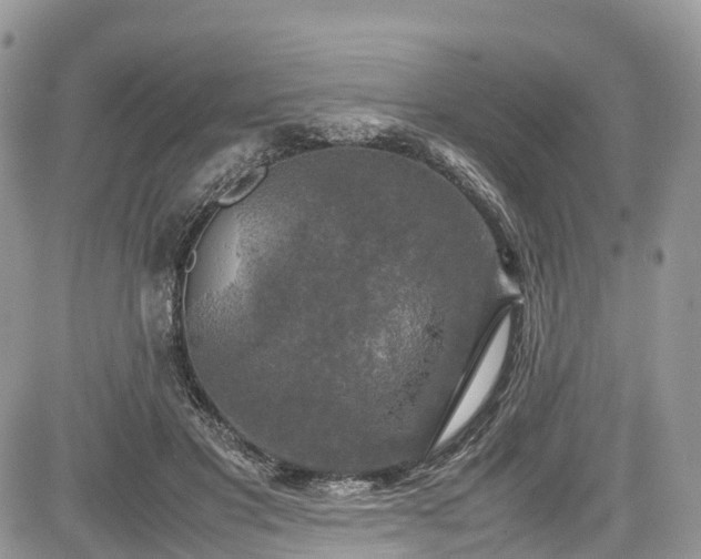 X0000085270501200703161433