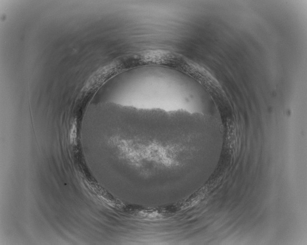 X0000085270502200703161433