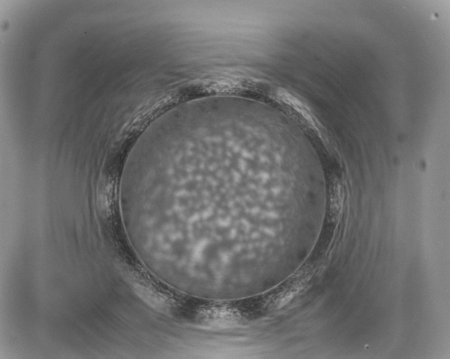 X0000085270503200703161433