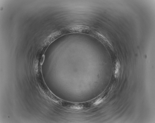 X0000085270504200703161433